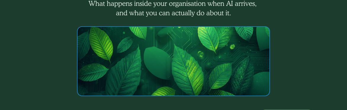 B Corp Lunch & Learn: The ethical and environmental use of AI