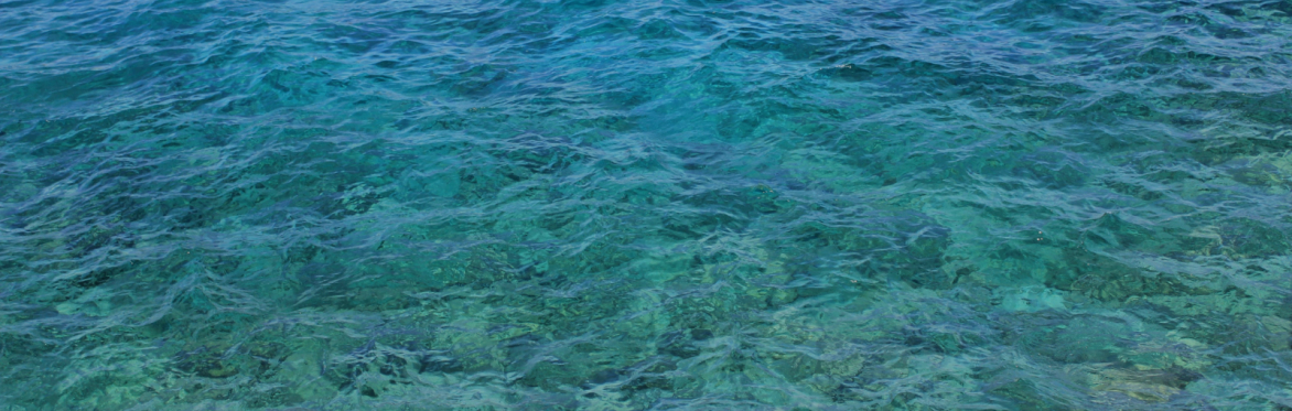 Celebrating Türkiye’s Coastal Conservation