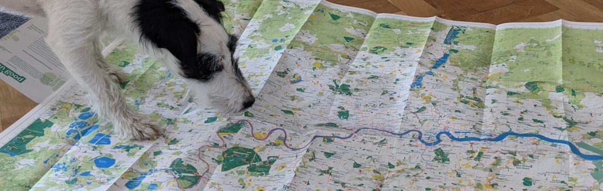 Capital Ring – Section 13: Stoke Newington to Hackney Wick