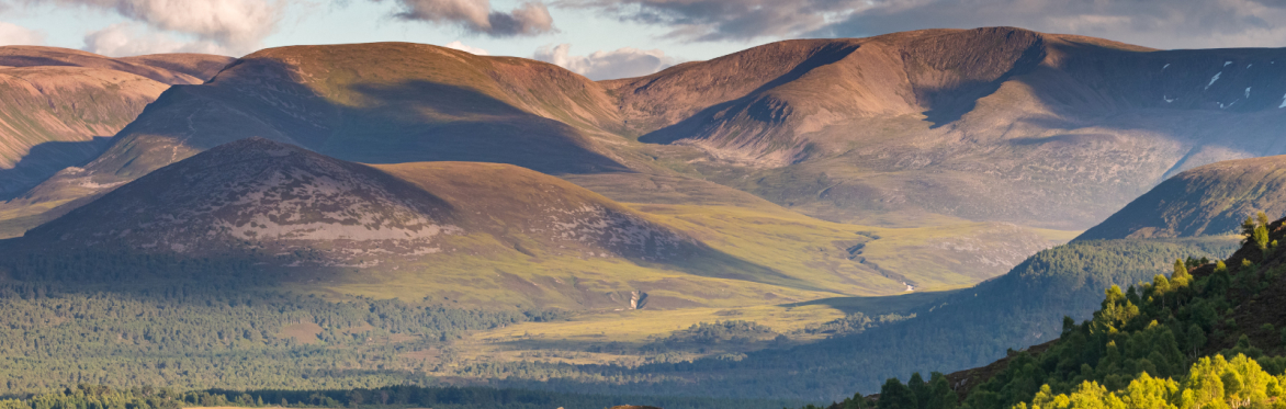 IUCN UK Peatland Programme Conference 2024: Peatlands, People and Nature