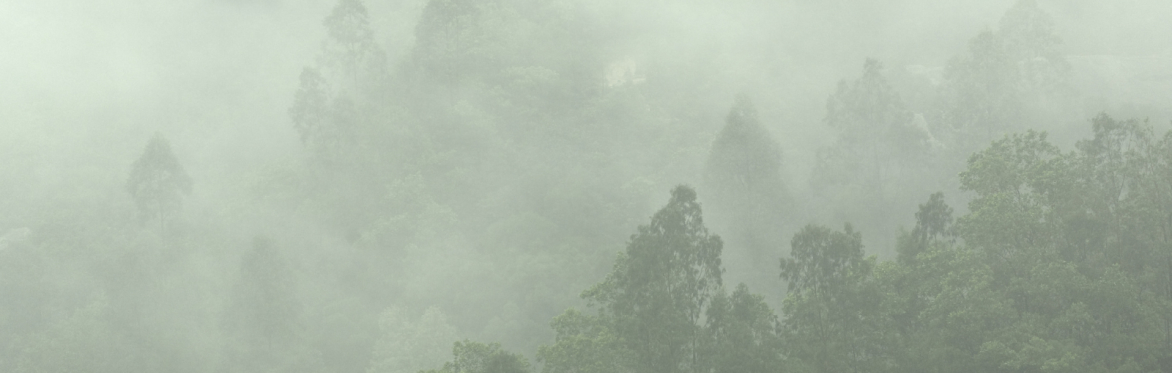 THURSDAY Introduction to Meditation and Buddhism Course 30/7-27/8
