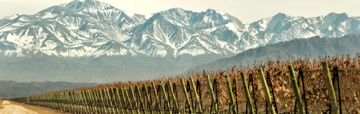Friday Night Wine School - Oceans to Mountains, Historical & Geographical Influences in Chile & Argentina