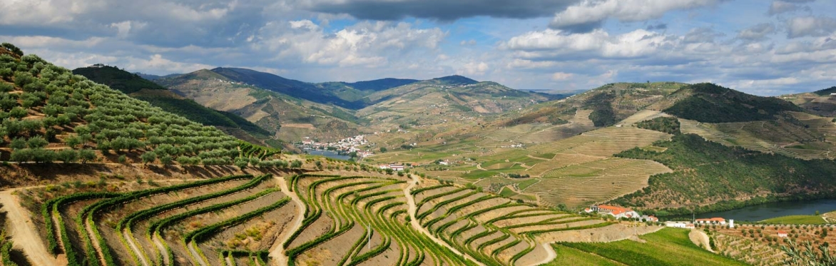 Friday Night Wine School - The Iberian Peninsula, the Underrated Stars of Portugal & Spain