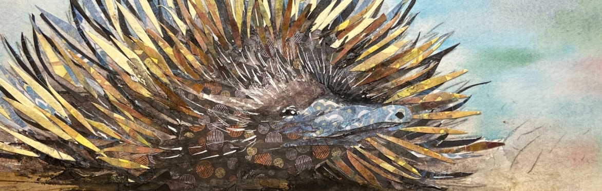 Watercolour and mixed media: Add a bit of Collage!