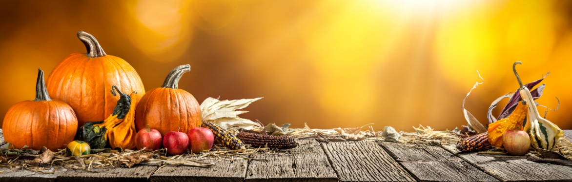 GRATITUDE Restorative Retreat (the Spiritual Warrior)