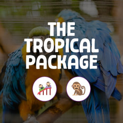 The Tropical Pacakge