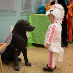 Little Paws Toddler Time--Special Halloween Program!