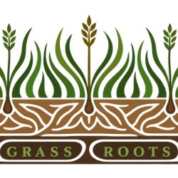 Grass Roots Seminar: Mark Williams - Alchemy