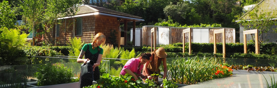 July Open Day
