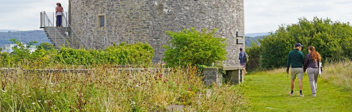 Guided walk around Mount batten