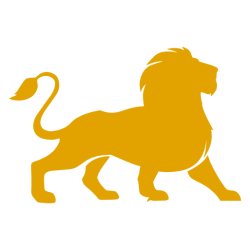 The Lions LIVE: Online Zoom