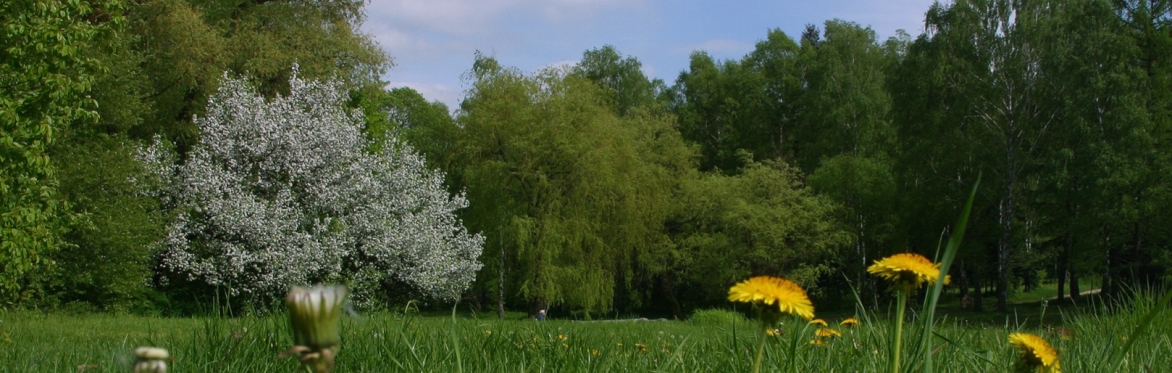 IFSA 4th Annual Spring Webinar Series