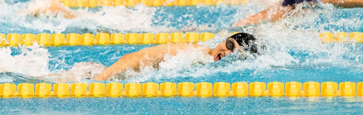 Photo of a swimmer