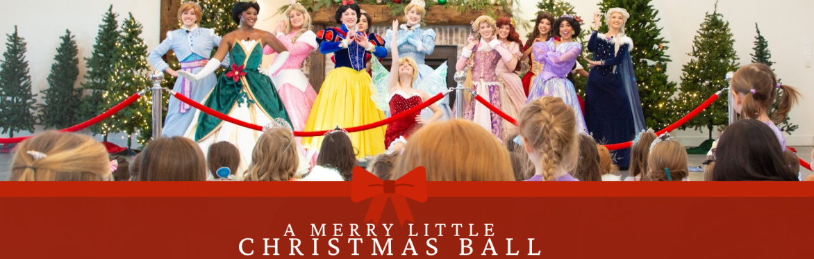 A Merry Little Christmas Ball
