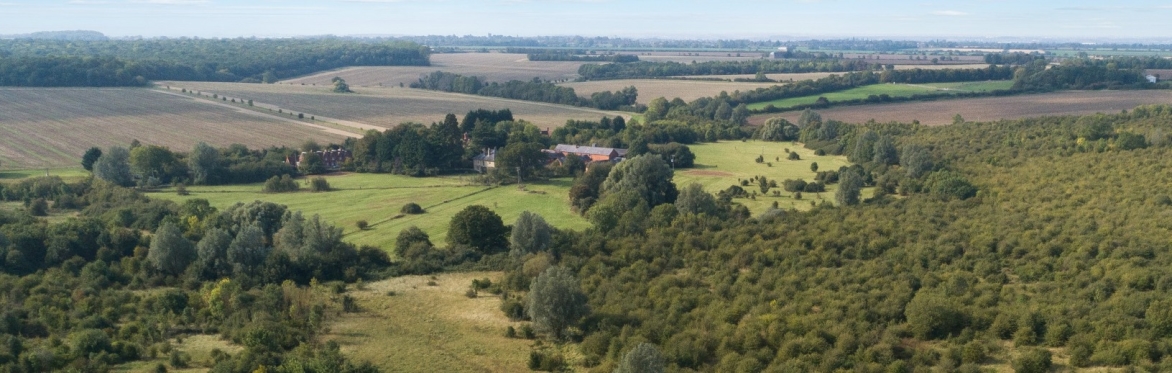 Aerrial view of Strawberry Hill