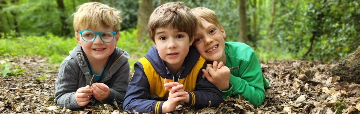 Bingley St Ives - Autumn Half Term Holiday Forest School - 28th October