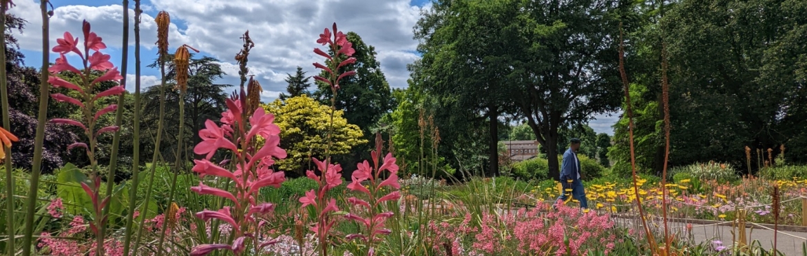 Dulwich Society visit to Horniman Museum Gardens, 10-11am, Wednesday 4th June