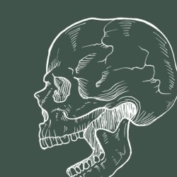 Anatomy Course - Full Head Proportions