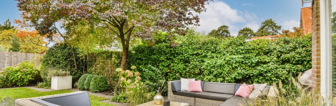 Trees in your Garden – How to choose?