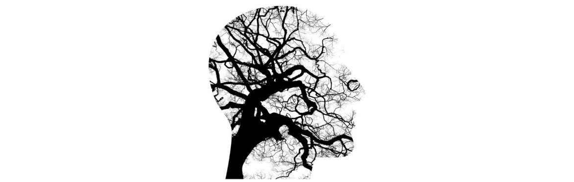A side profile in the shape of a human head, the internal detail is that of a bare tree and its branches, giving the impression of neural networks.
