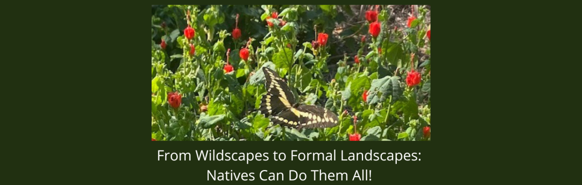 From Wildscapes to Formal Landscapes: Natives Can Do Them All