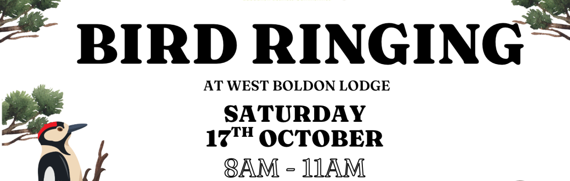 Free Family Bird Ringing Day