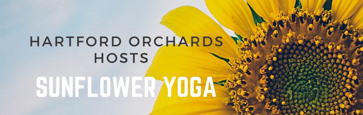 Sunflower Yoga at Hartford Orchards