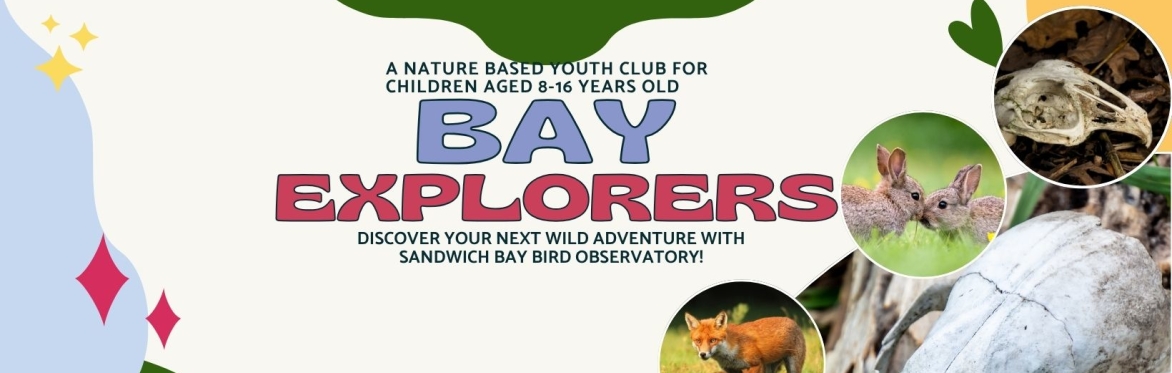 Bay Explorers Monthly Nature Youth Club