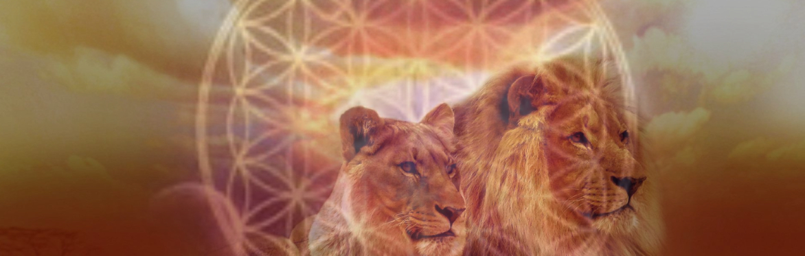 Lion's Gate Portal New Moon Ceremony