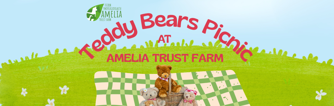 Teddy Bear's Picnic