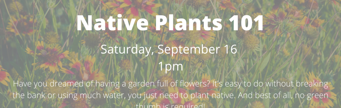 Native Plants 101