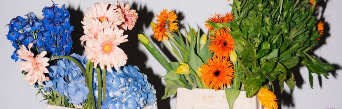 ReFraming Flowers: Spring Edition ✿