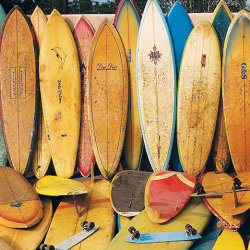 SHACC Parking Lot Surfboard Sale