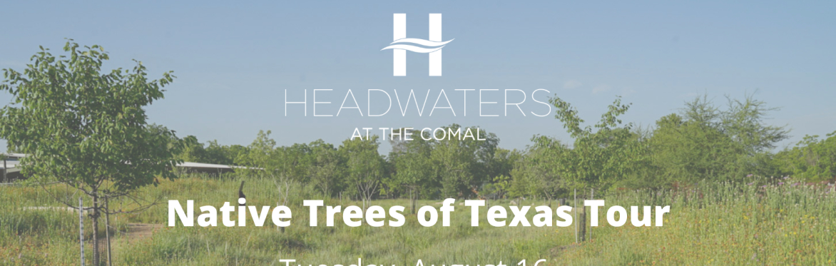 Twilight Tour: Native Trees of Texas