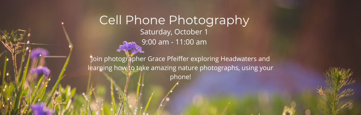 Cell Phone Photography