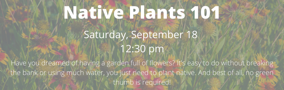 Native Landscaping 101 Series: Native Plants 101