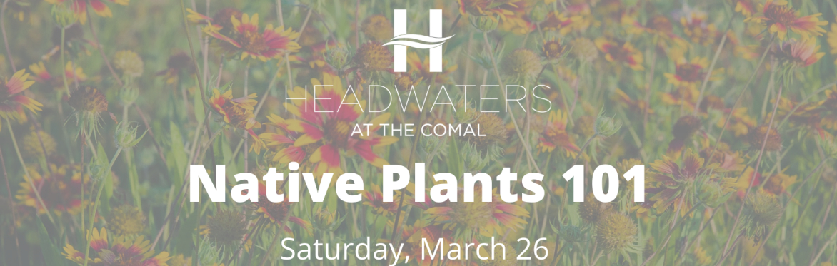 Native Plants 101