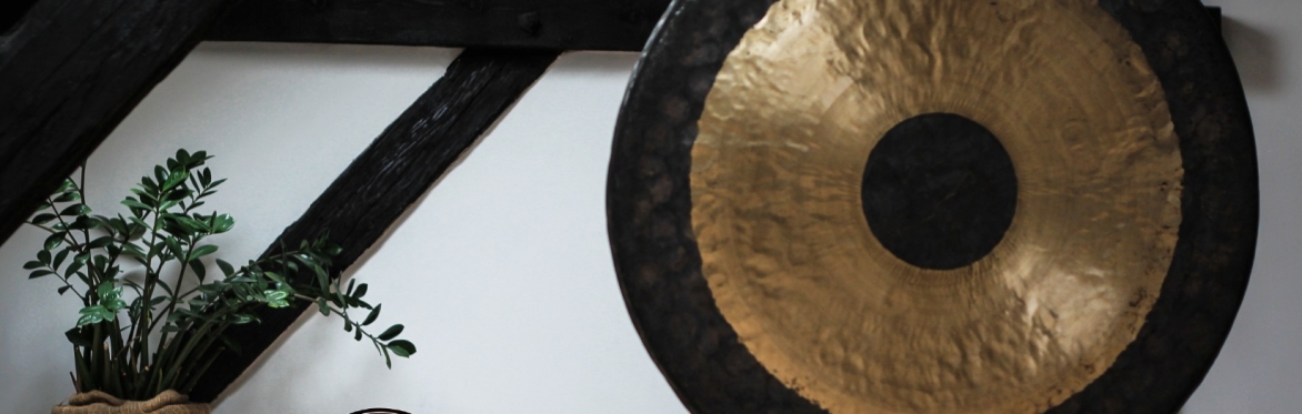 Sound Healing Meditation: Healing From the Root Full Chakra Balancing Series