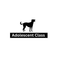 Adolescent Class start date Sunday 28th June 2026 - 10:45AM-11:30AM - WSM- Paws and Play Dog Day Care