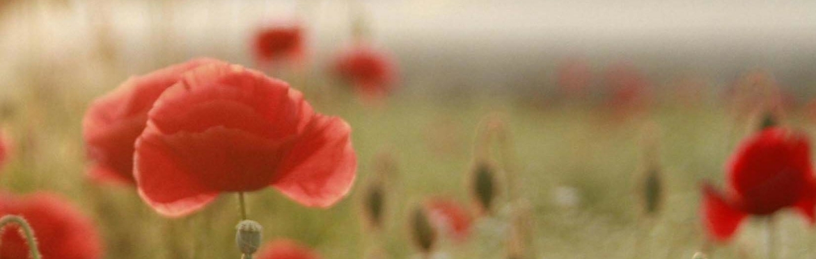 Remembrance and Hope
