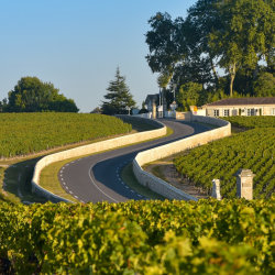 Bordeauxmessen 2026