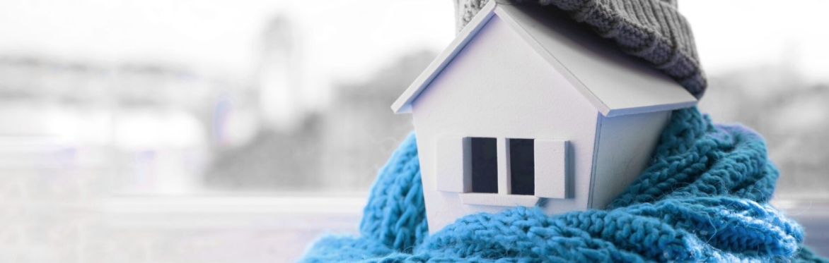 Healthy Homes - Centre for Sustainable Energy sessions