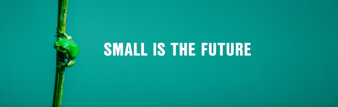 Small is the Future