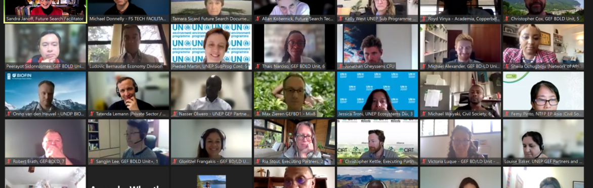 Future Search in Virtual Space: An Introduction to the Platform, Tools and Possibilities