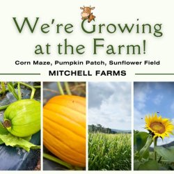 Mitchell Farms Corn Maze & Pumpkin Patch