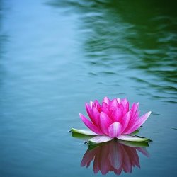 Monday Evening Meditation class