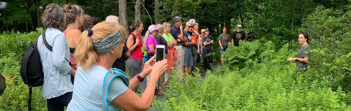 Spring Guided Walk with Wild Hudson Valley