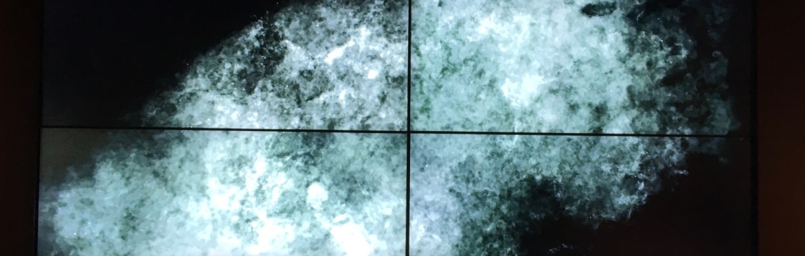 Synthetic Forever: White Suits, Fatbergs, and the Breathing Museum