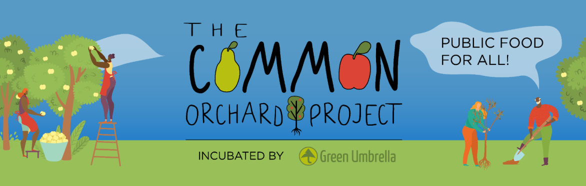 2024 Orchard Installation @ Woodford Elementary