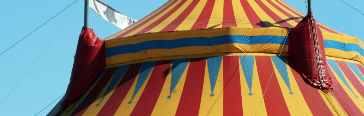 WELCOME TO THE CIRCUS 🎪🍸